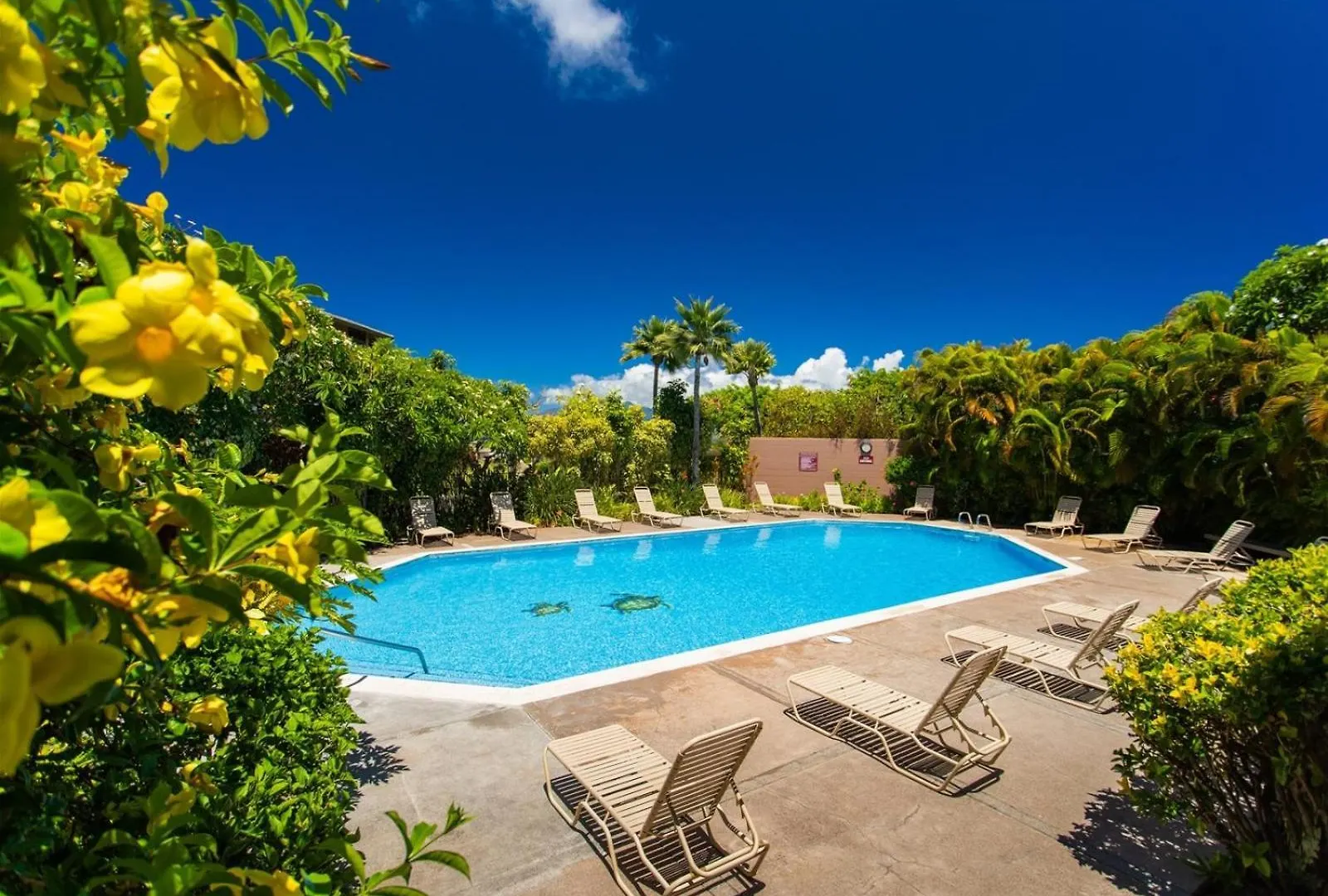 2423-24 Ridge Apartment Kahana